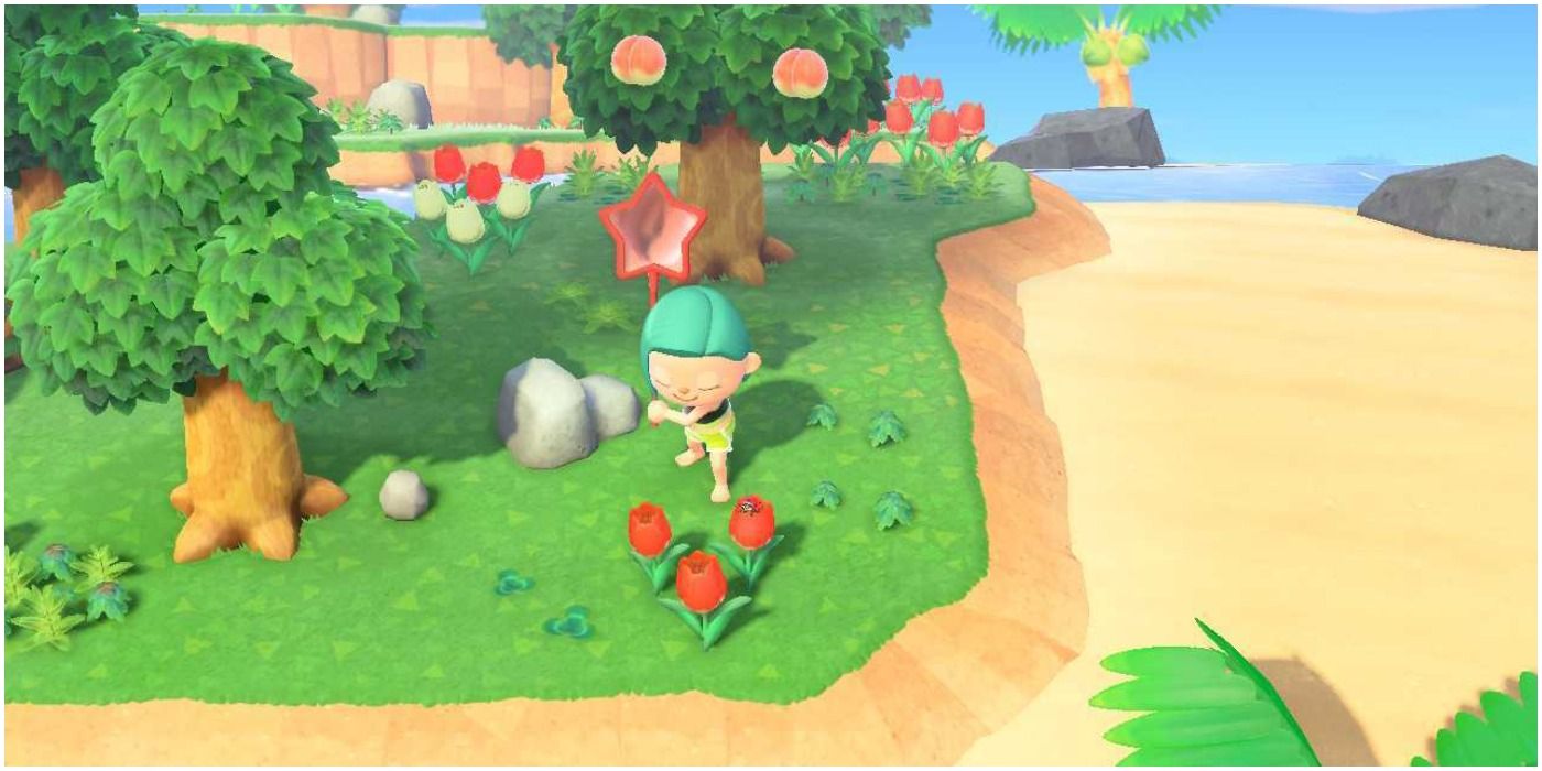 Animal Crossing New Horizons Mystery Island Tour Sneaking Up On Bugs