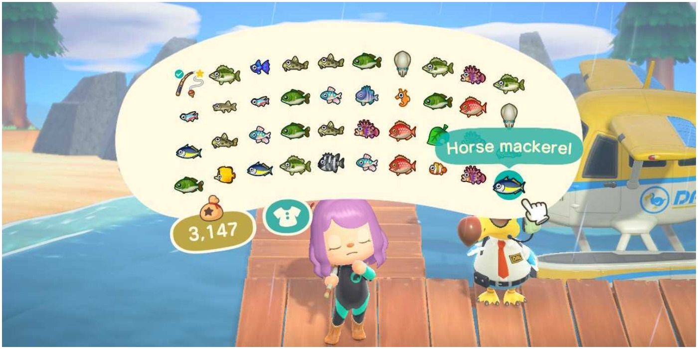 Animal Crossing New Horizons Mystery Tour Fishing Trip Full Pockets
