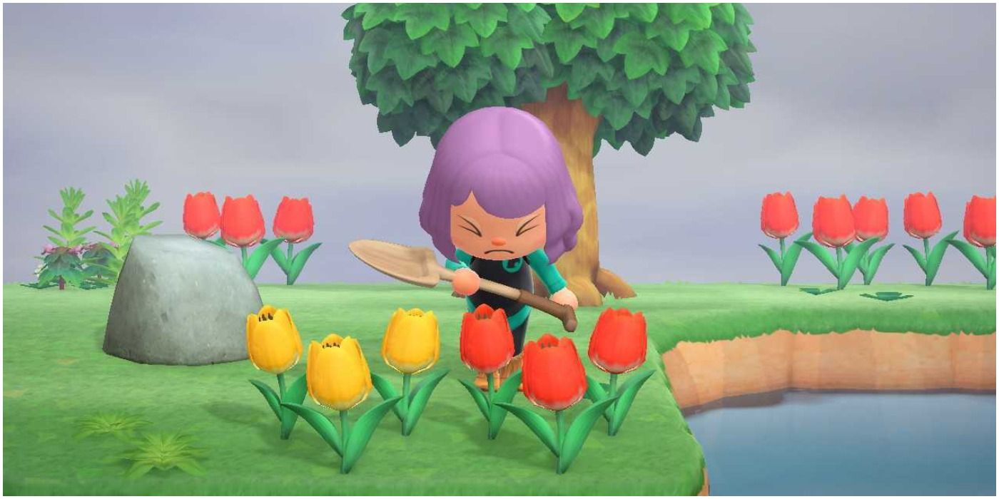 Animal Crossing New Horizons Mystery Tour Island Digging Up Tulips