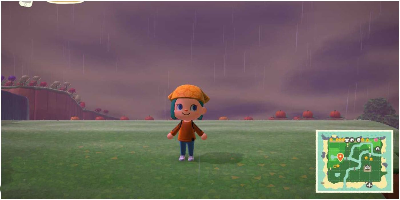 Animal Crossing New Horizons Orchard Picking Spot