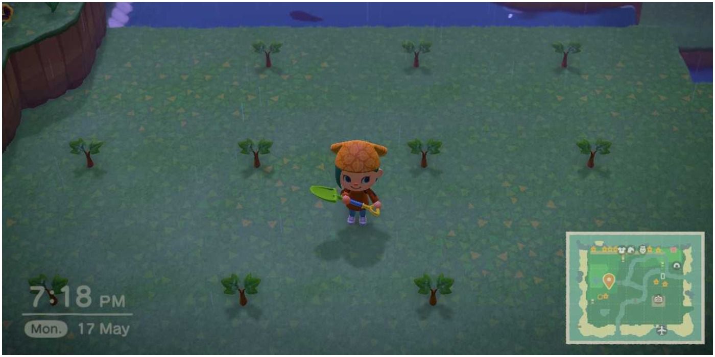 Animal Crossing New Horizons Plant Saplings For The Orchard