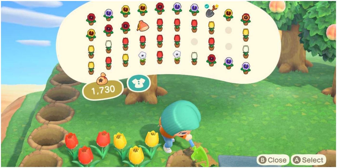Animal Crossing New Horizons Planting Flowers