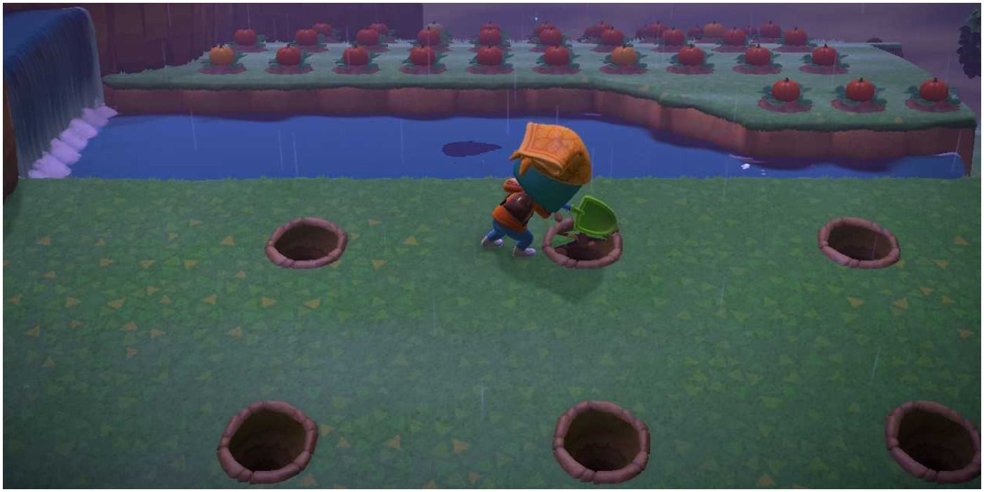Animal Crossing New Horizons Planting Fruit For Orchard