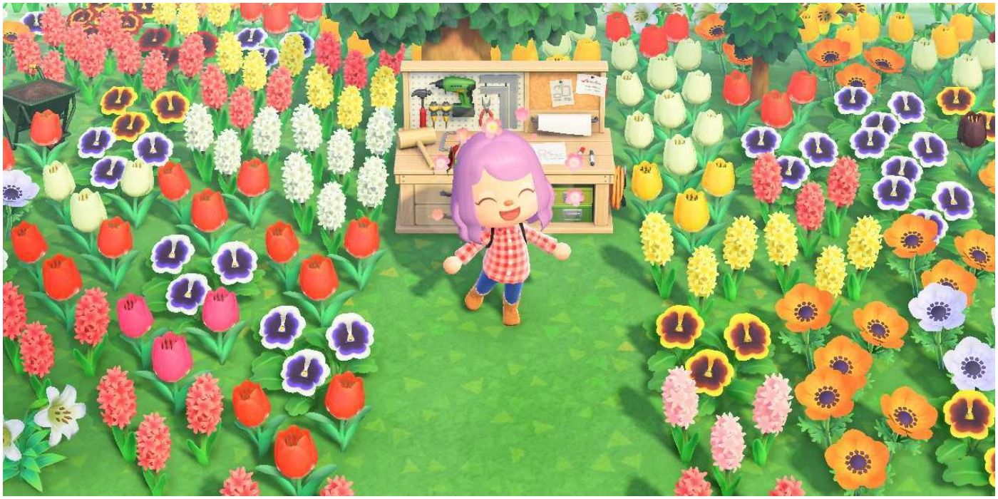 Animal Crossing New Horizons Villager In Flower Field