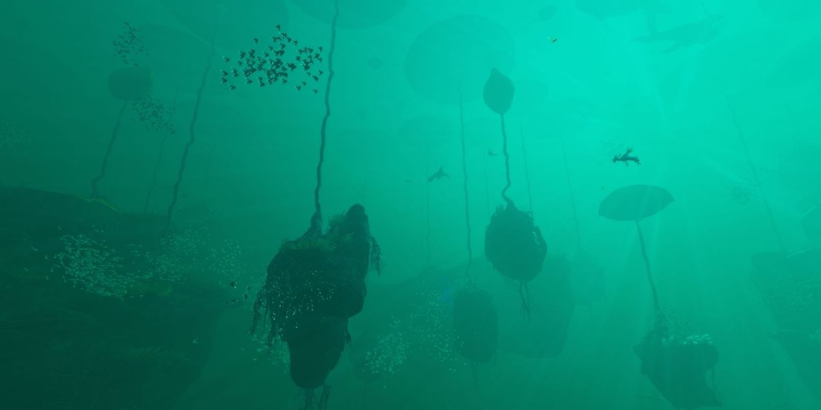 Lilypad Islands biome, with a few Lily Paddlers and Squidshark faintly in the background