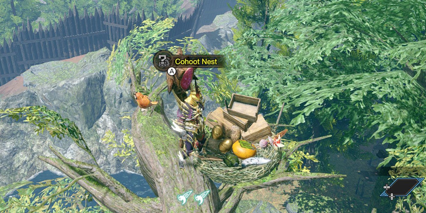 Monster Hunter Rise Cohoot Nest Treetop