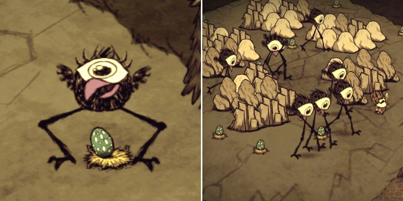 Don't Starve: A Tallbird kneeling over an egg - A group of Tallbirds chasing a player
