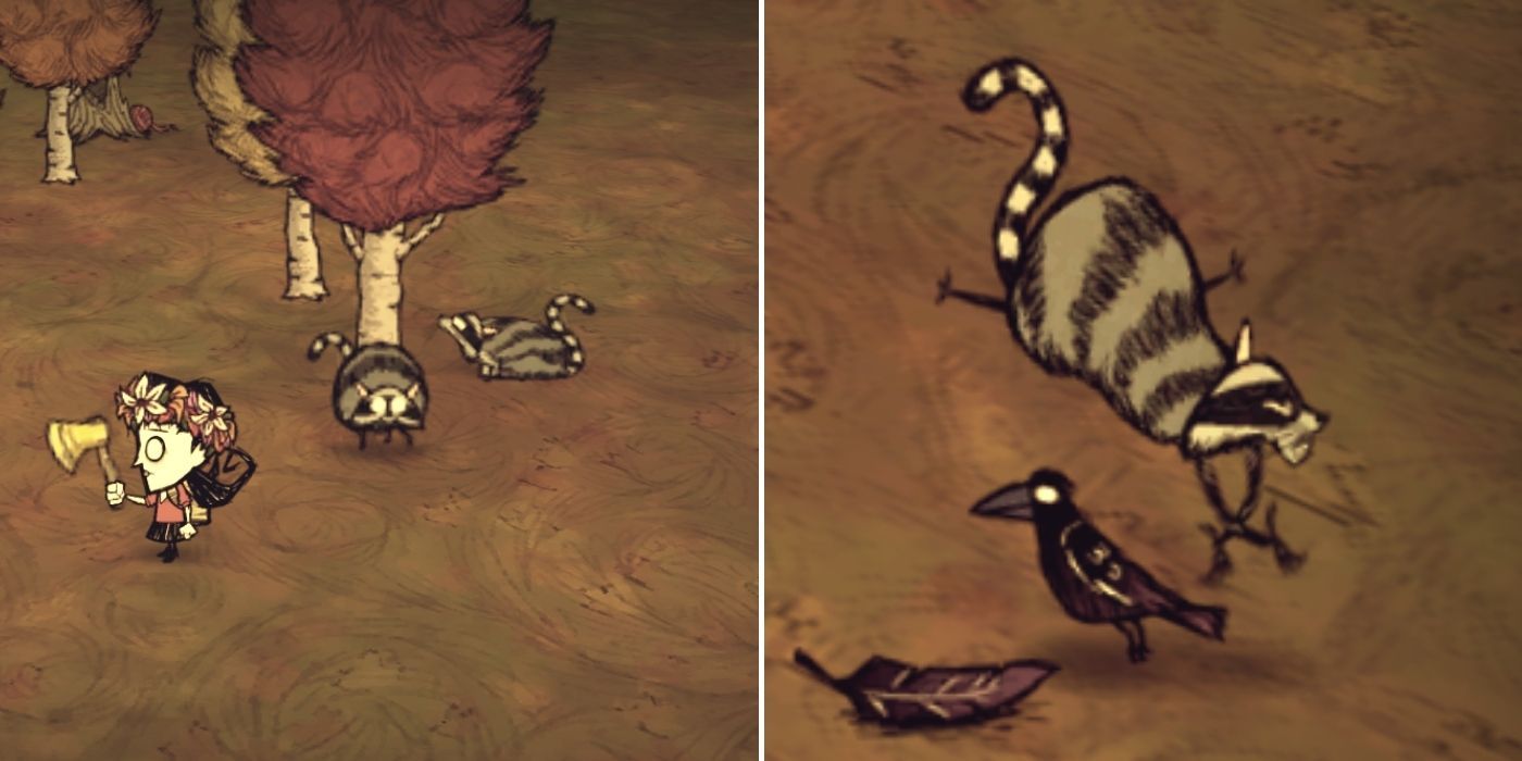 Don't Starve: A player near two Catcoons - A Catcoon pouncing on a bird