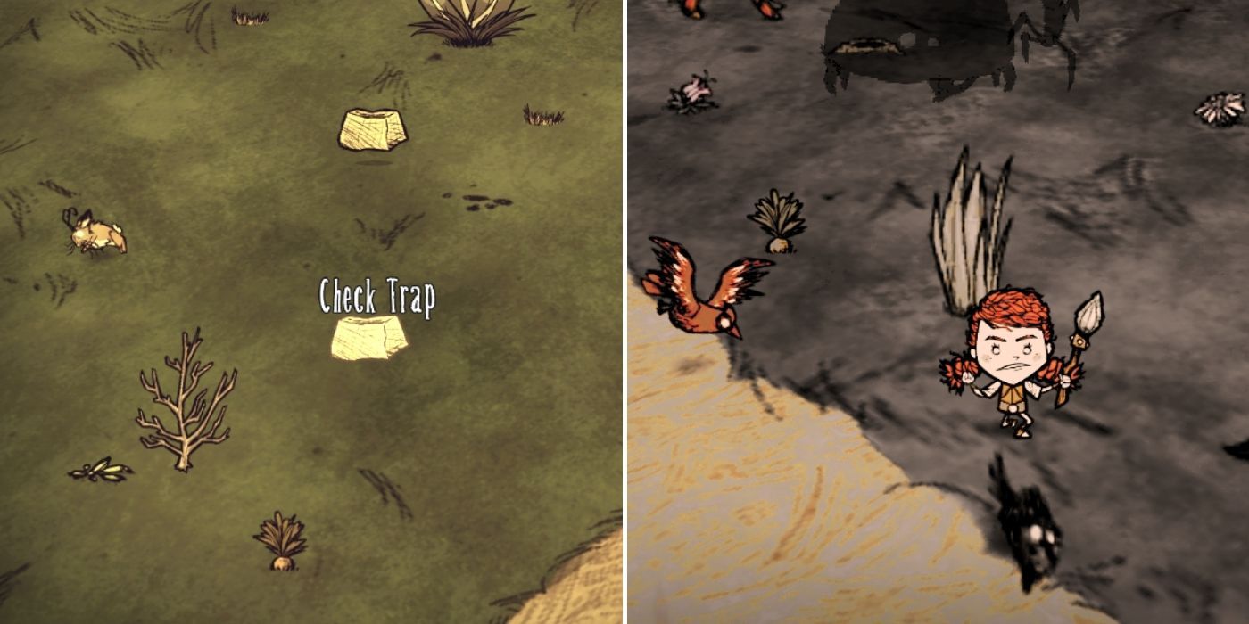 Don't Starve: A rabbit and a trap - A player chasing a beardling