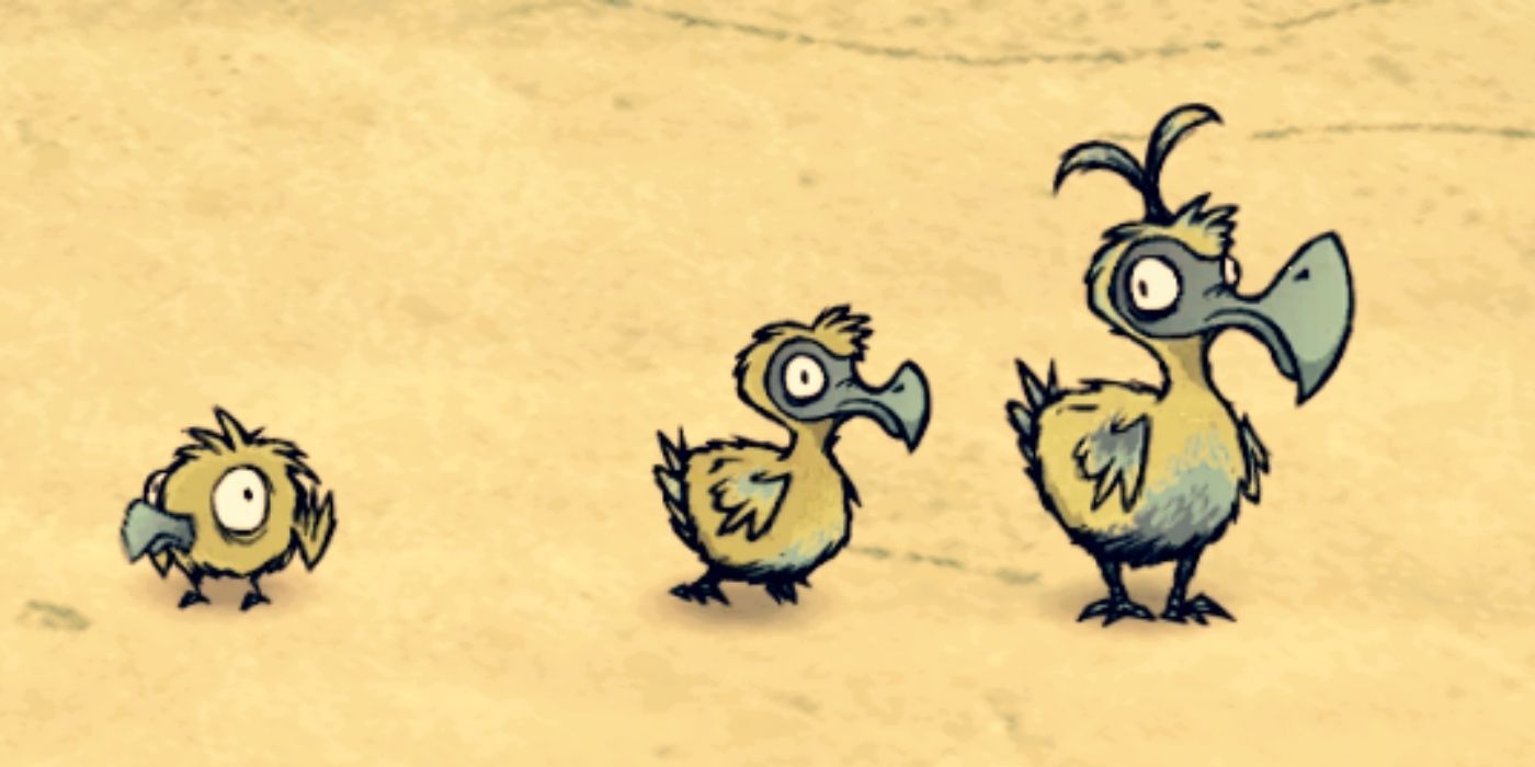 Don't Starve: The three stages of a DoyDoy: Baby, Teen and Adult