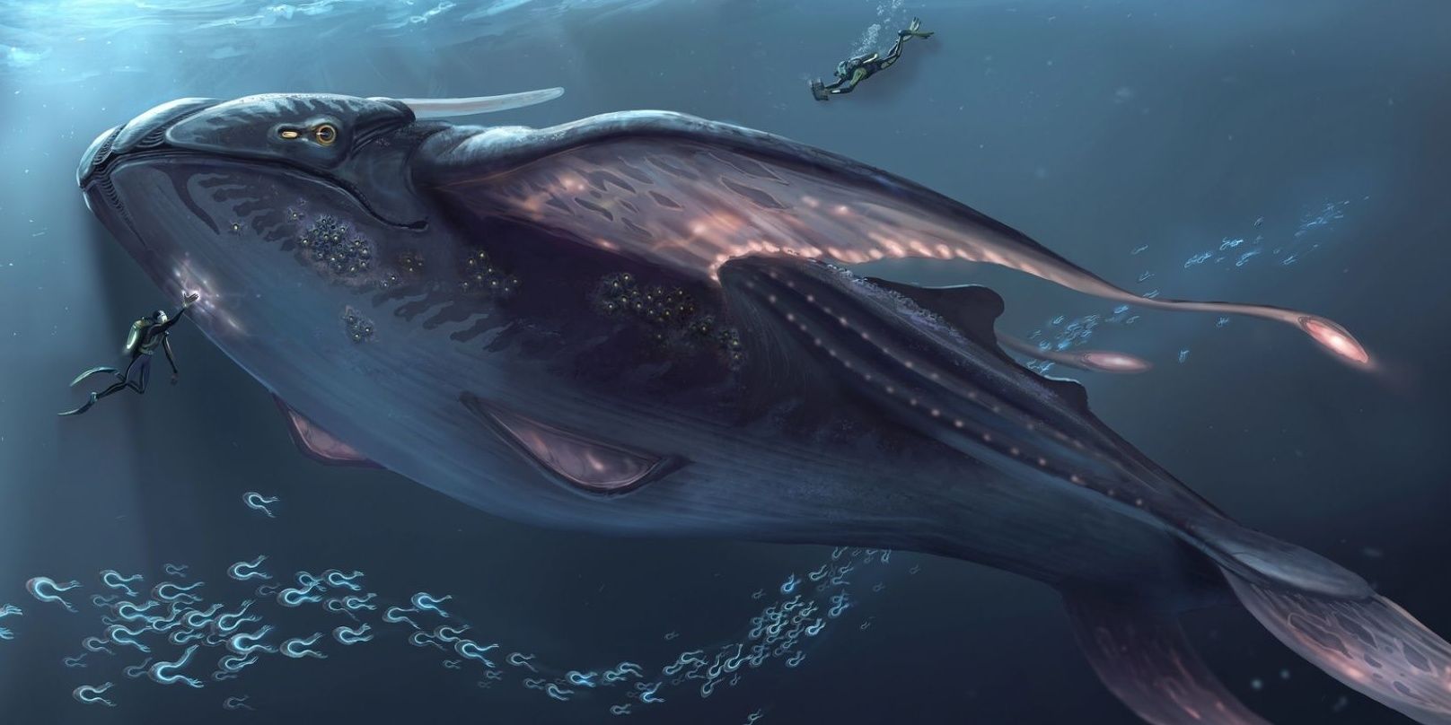 Glow Whale concept art