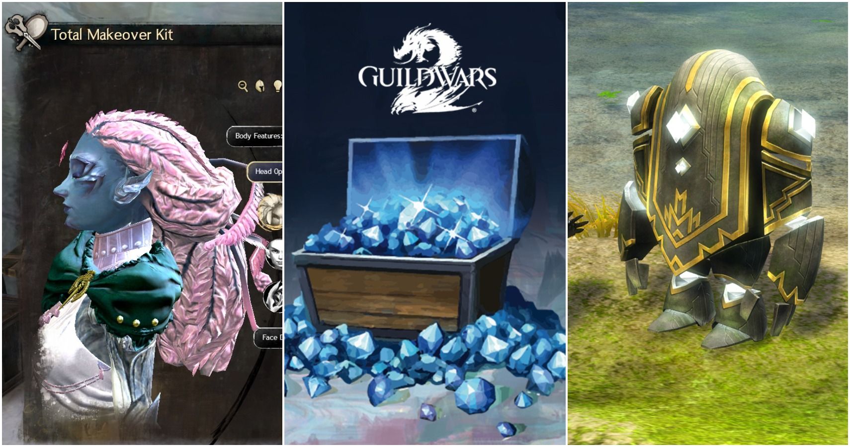 Guild Wars 2: Most Useful Items To Buy In The Gem Store