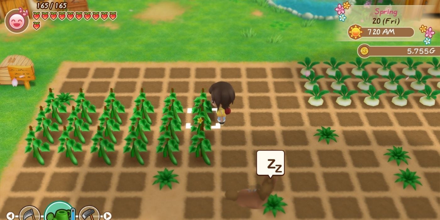 Harvest Moon - Gameplay Screenshot with HUD, Player In Their Farm Plot