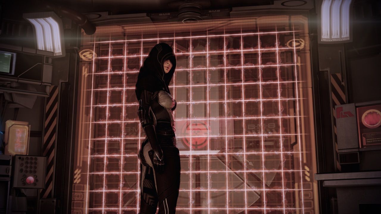 Mass Effect 2, Kasumi evaluating Hock's vault