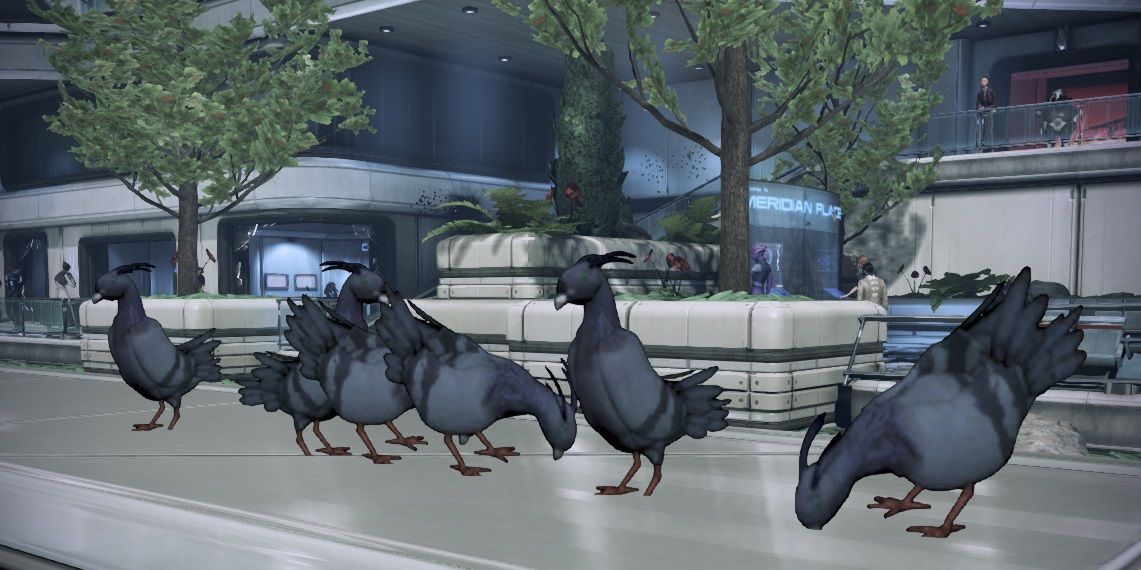 Mass Effect 2 Pigeons Roosting in Citadel