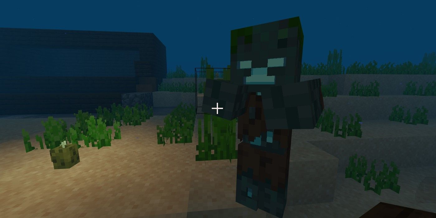 minecraft drowned and sea pickle