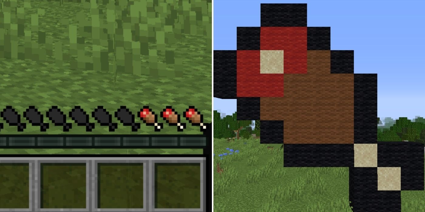 Minecraft: A low hunger bar - A drumstick made of wool