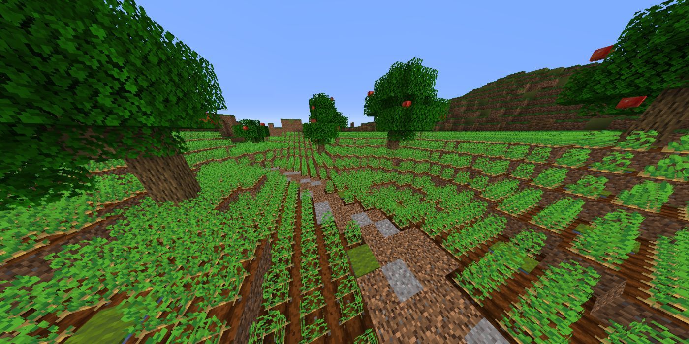 Minecraft field of crops