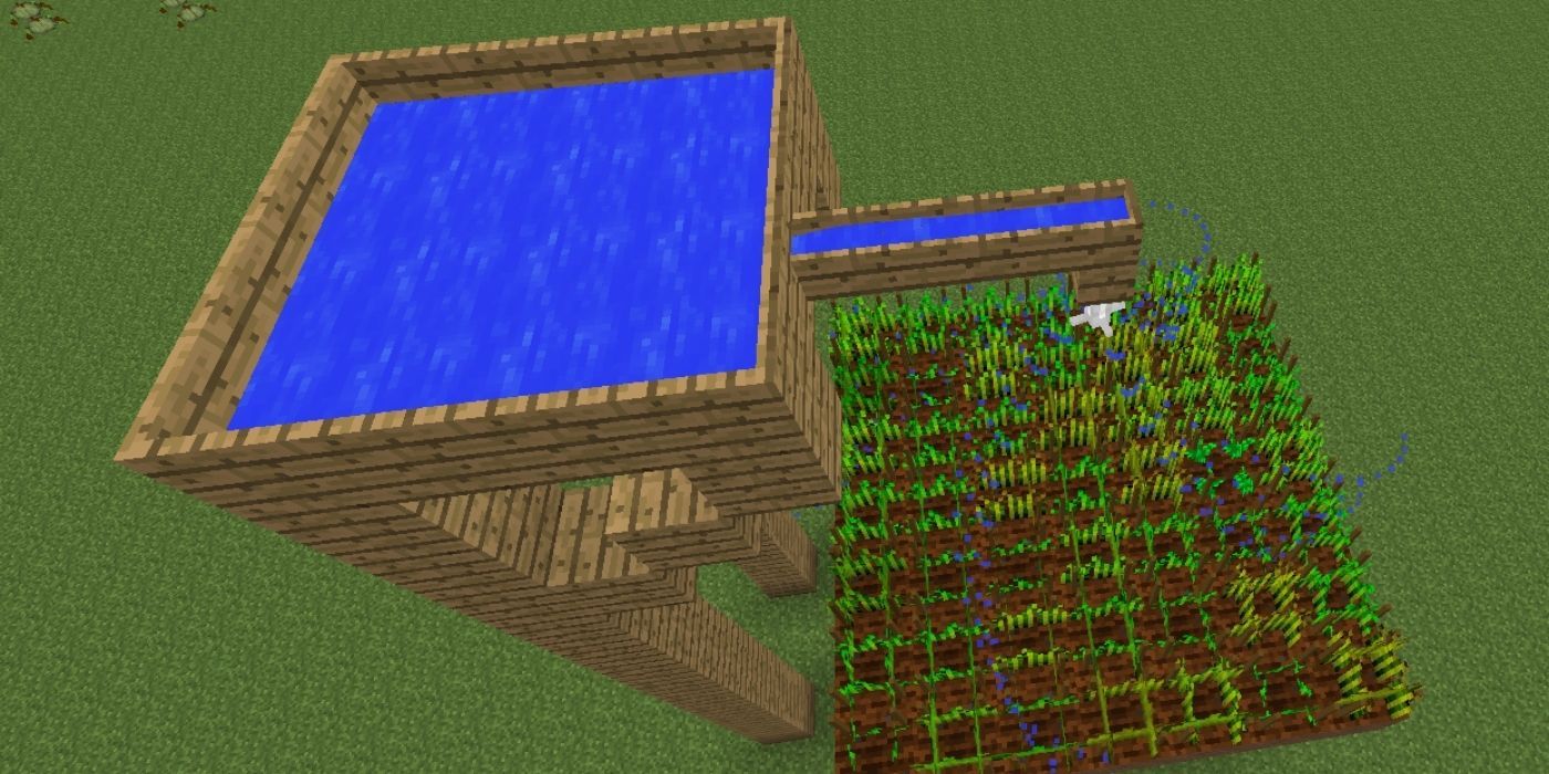 Minecraft - Large container full of water, watering a field of plants below
