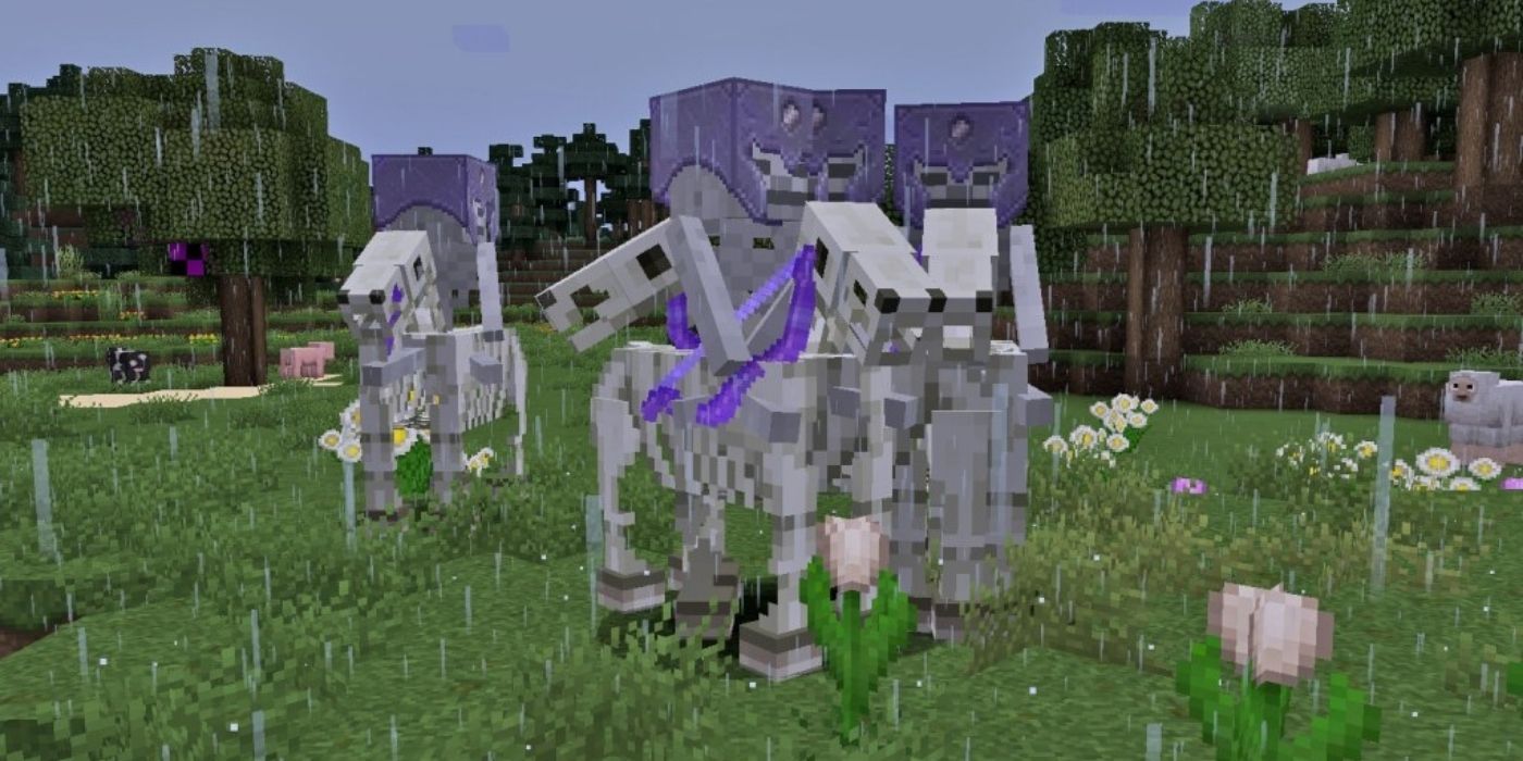 Minecraft Skeleton Horseman Jockey In The Rain Near A Forest