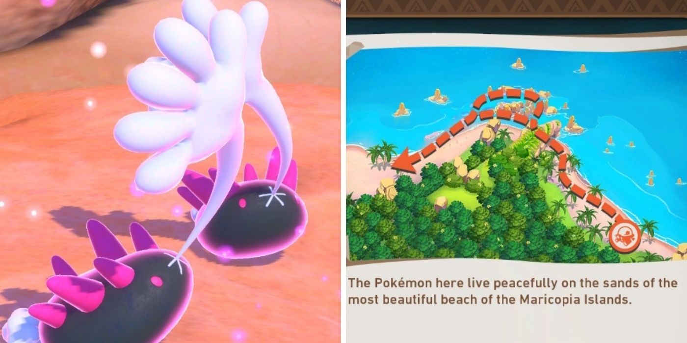 New Pokemon Snap Every Course Ranked