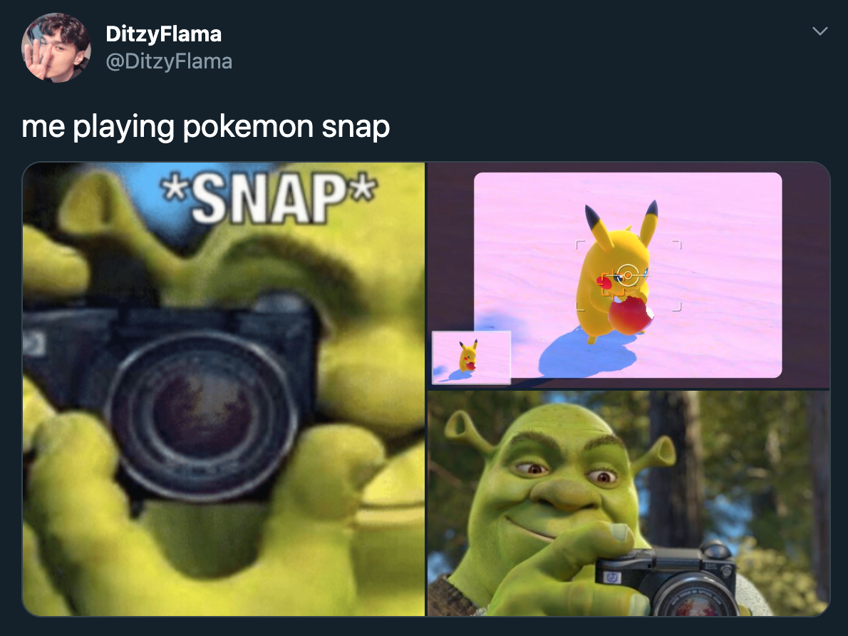 Pokemon Snap Meme Shrek With Camera Taking Picture Of Pikachu