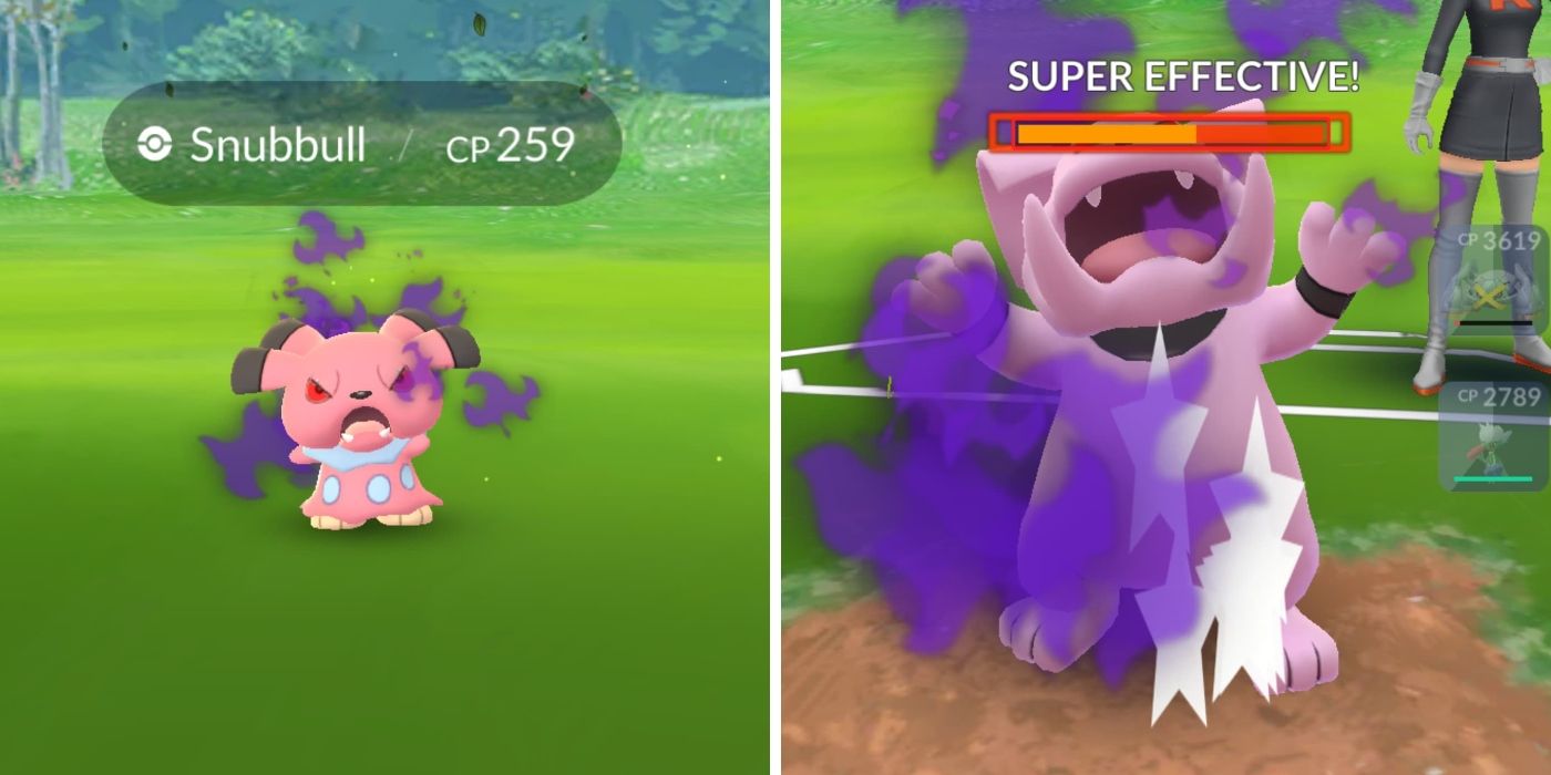 shadow snubbull and shadow granbull in pokemon go