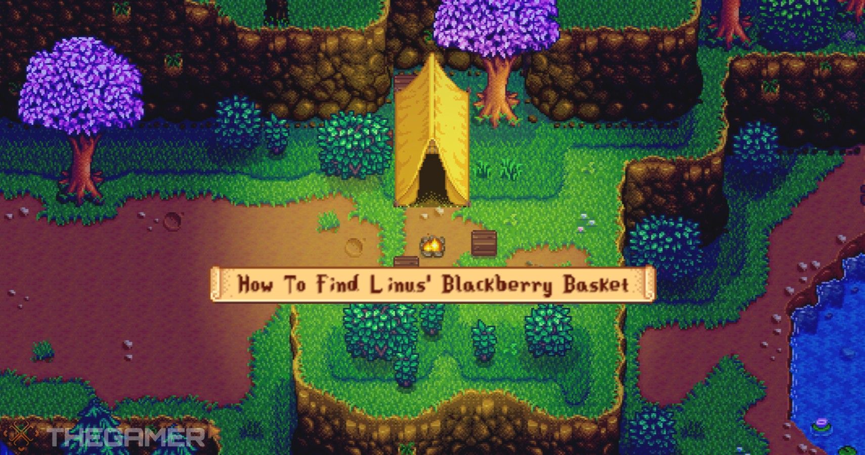 Stardew Valley: How To Find Linus' Blackberry Basket