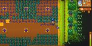 Stardew Valley How To Find Qi Gems
