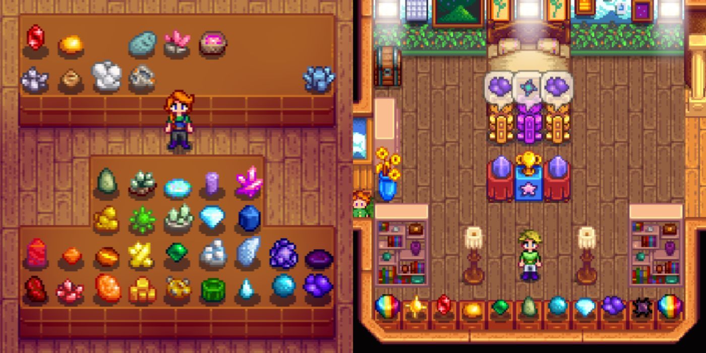 Stardew Valley rainbow items organized by color at the museum