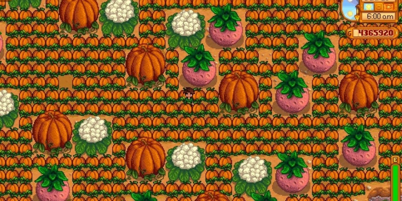 A field full of giant crops of pumpkins, cauliflowers and melons in Stardew Valley