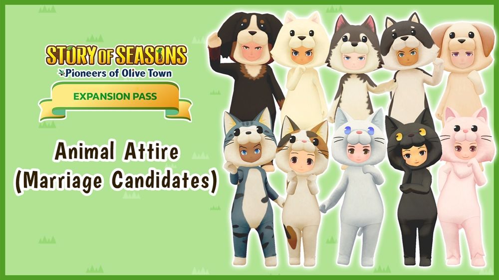 Story of Seasons Pioneers of Olive Town Marriage Candidates Animal Attire