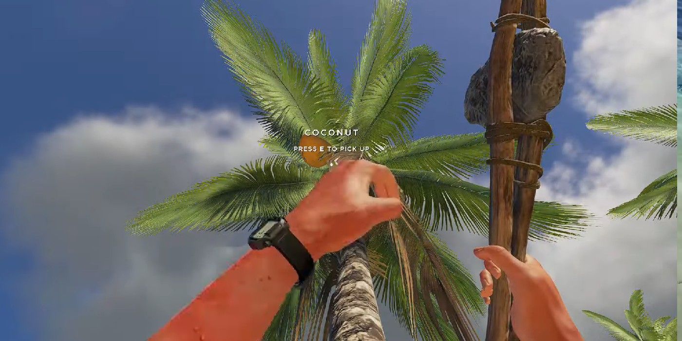 collecting coconuts in stranded deep