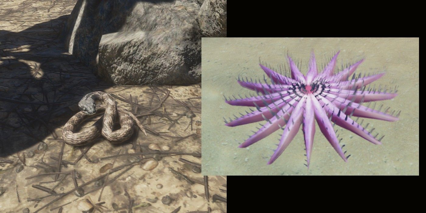 poisonous snake and starfish in stranded deep