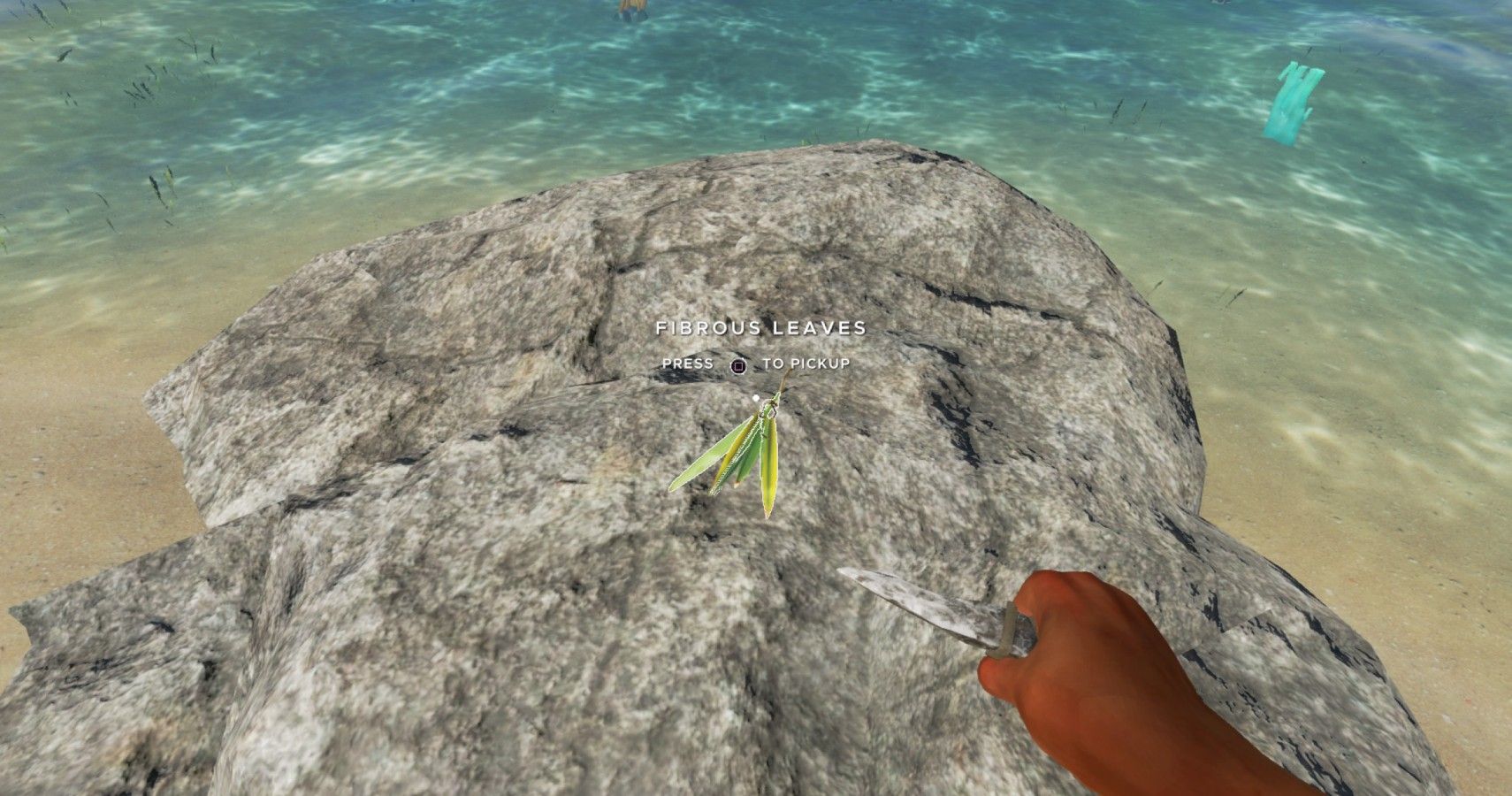 stranded deep fibrous leaves