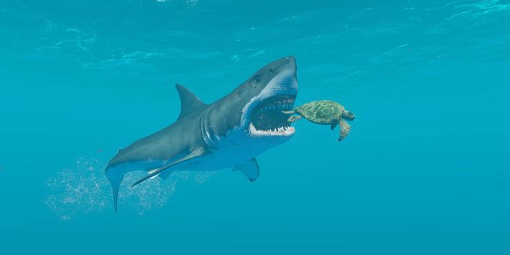 Stranded Deep Every Shark And Where To Find Them Thegamer Stranded Deep Every Shark And Where To Find Them Thegamer