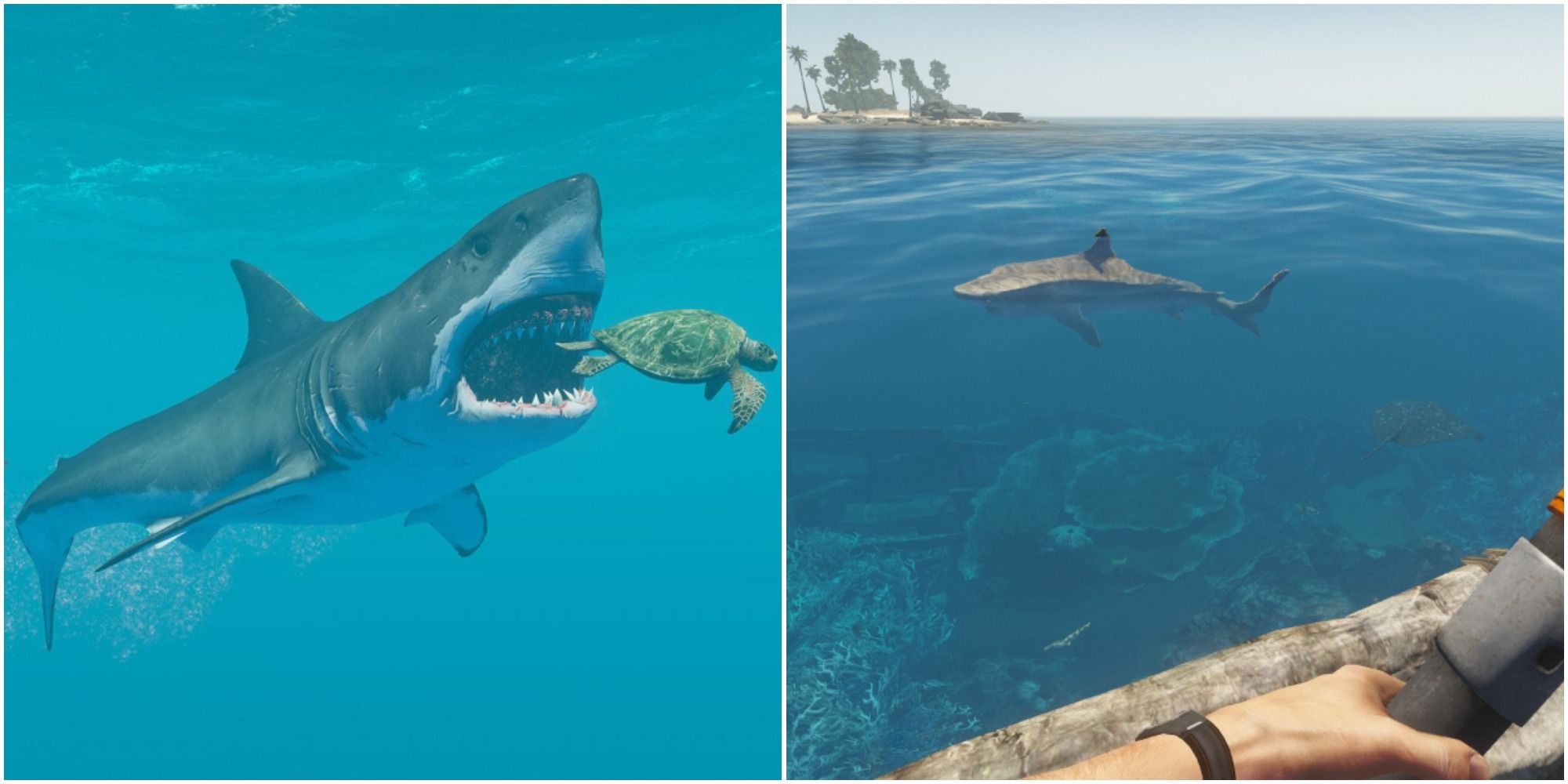 Stranded Deep PS4 Dead Shark - Marooners' Rock