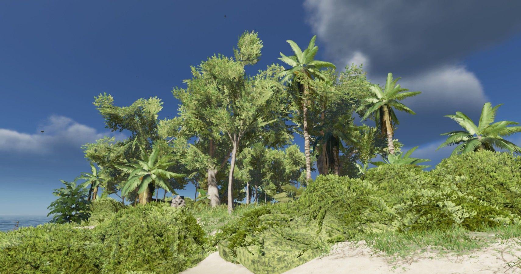 palm frond stranded deep