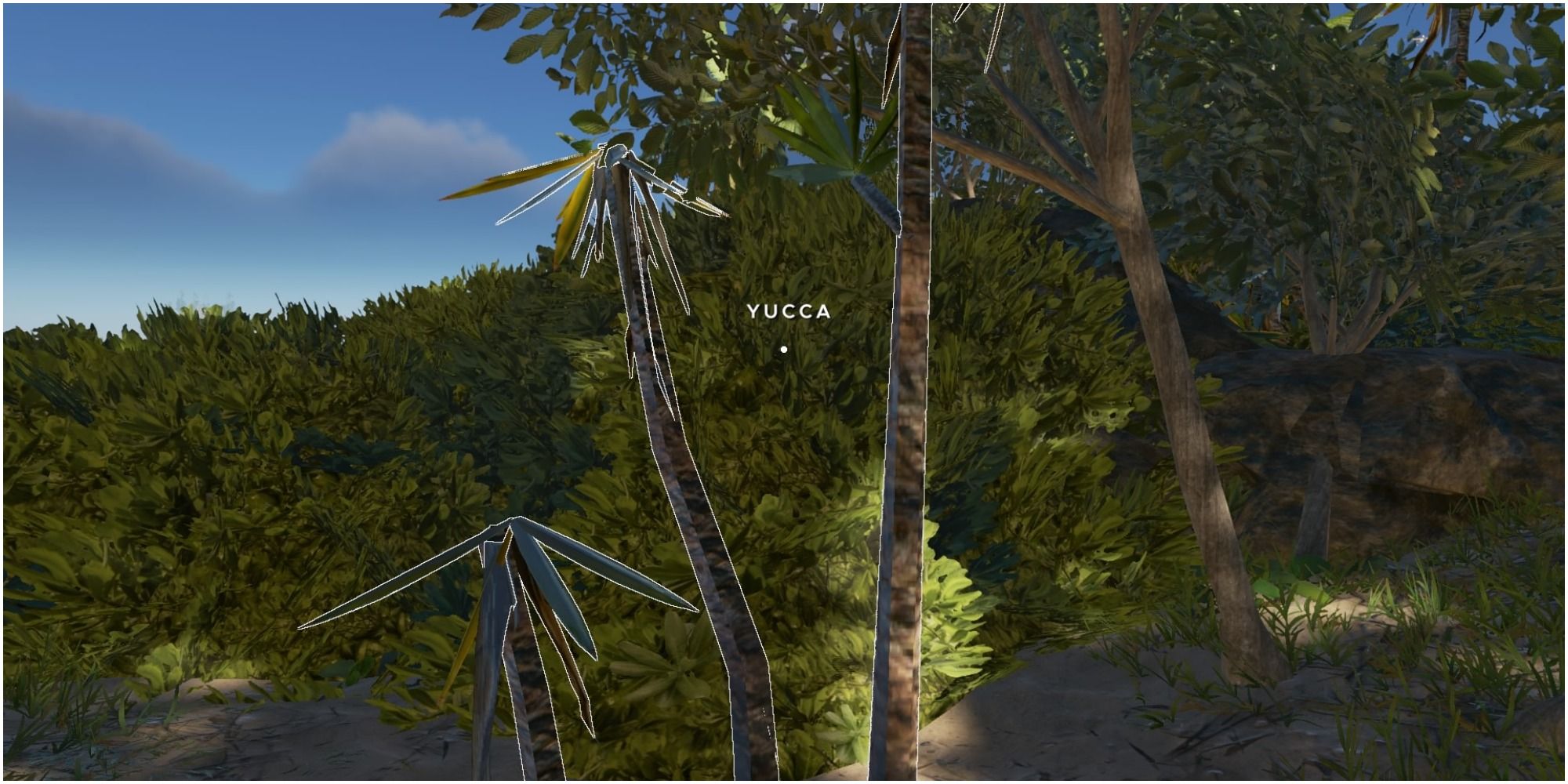 Stranded Deep Yucca Tree