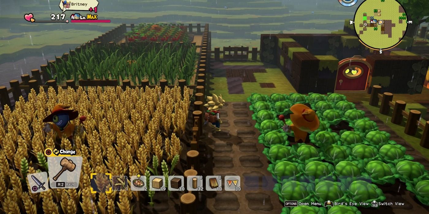 Farming in Dragon Quest Builders 2