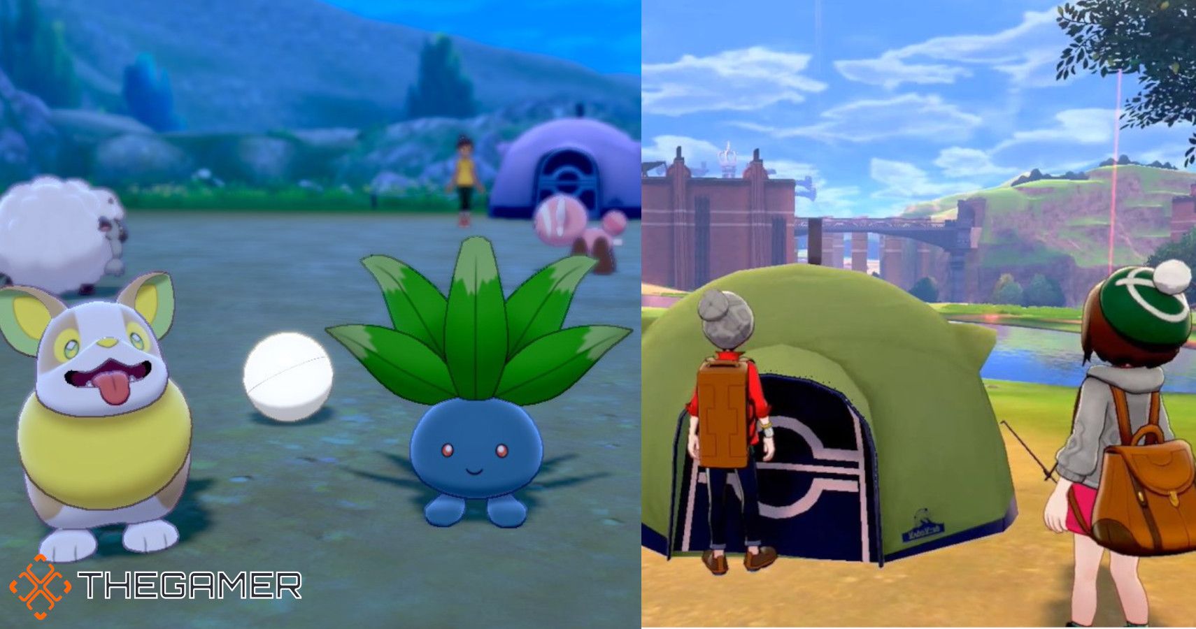 a split image of two trainers by a tent on the left and an oddish and a yamper on the left