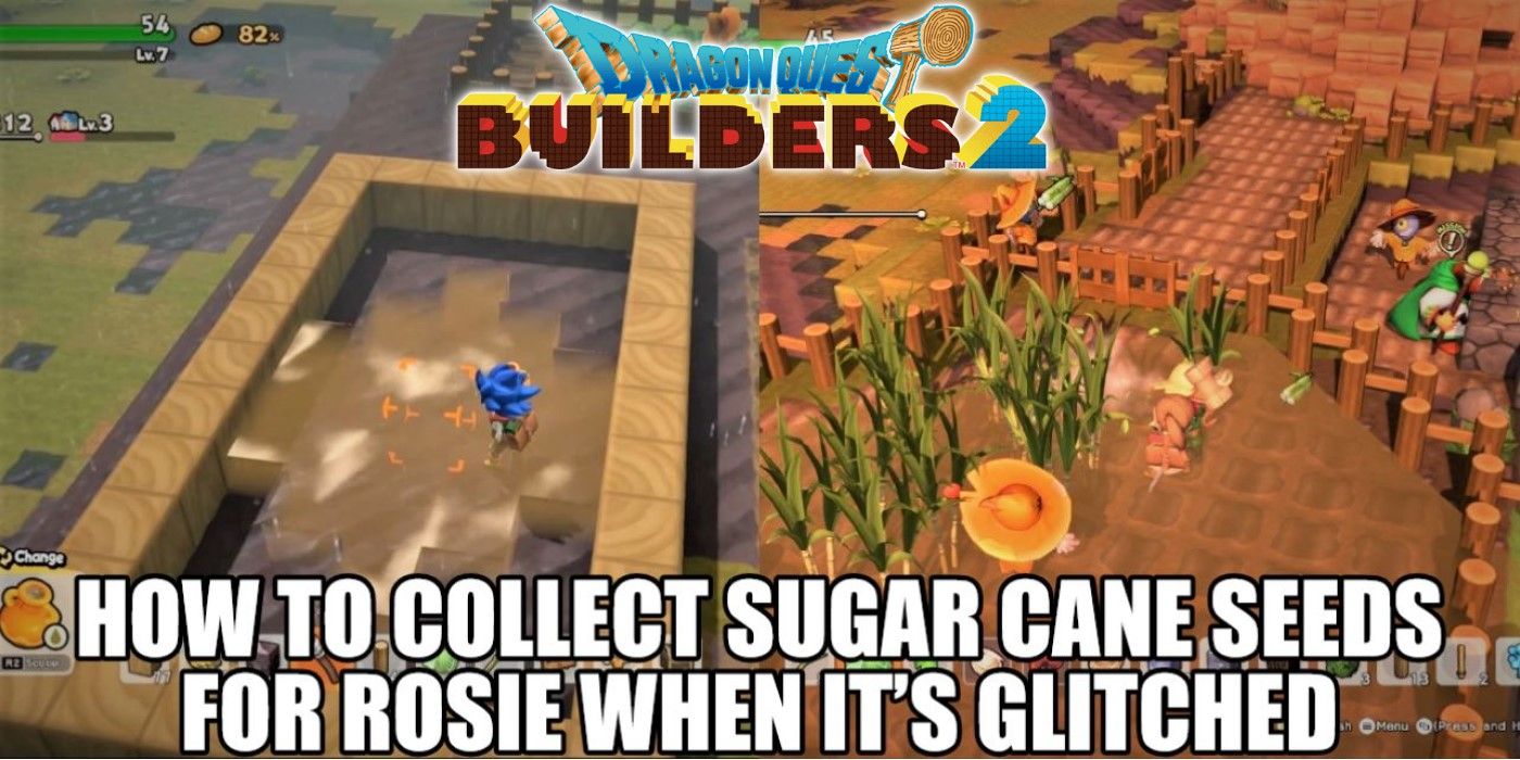 Dragon Quest Builder’s 2 How To Collect Sugar Cane Seeds For Rosie When It’s Glitched