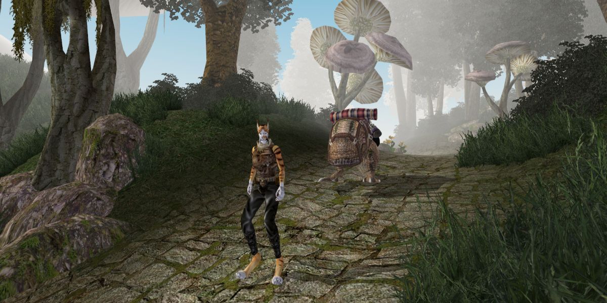Morrowind Character Standing On A Road