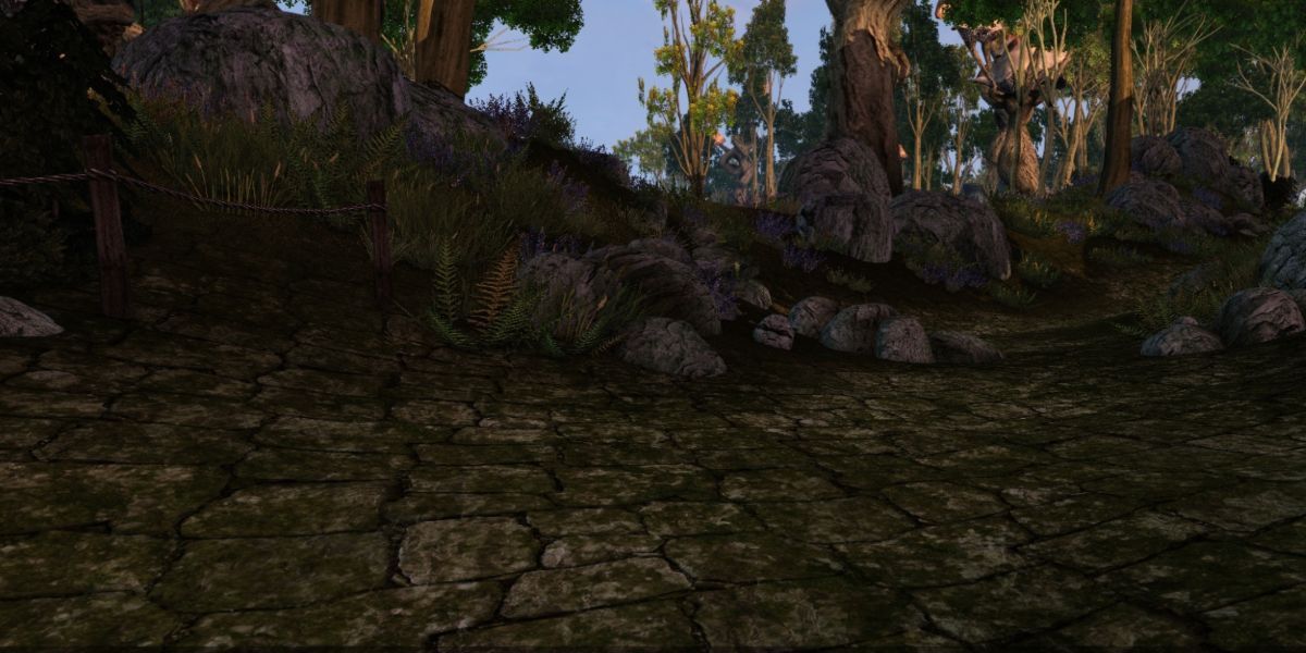 Morrowind Rocks And Trees In The Background
