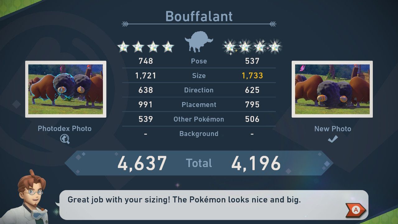 new pokemon snap bouffalant head to head competition guide (1)