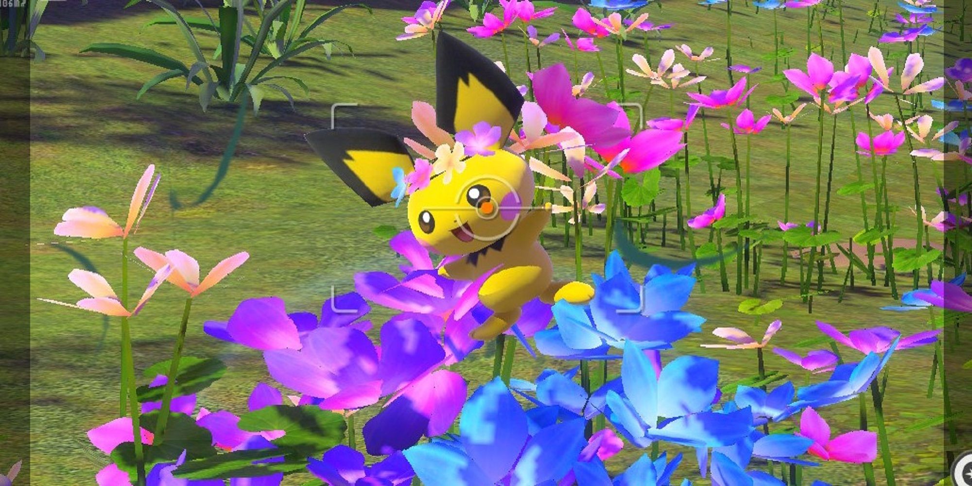 pichu new pokemon snap