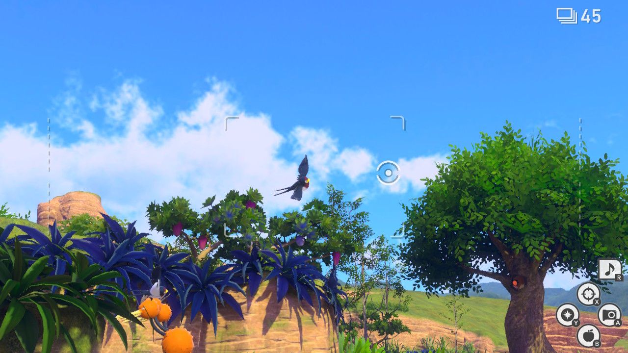 new pokemon snap off to a flying startle (1)