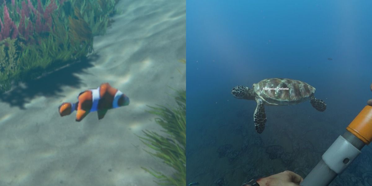 clownfish and sea turtle from Stranded Deep