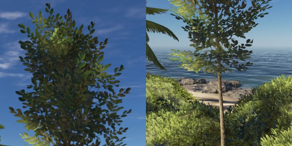 Stranded Deep Tree Guide