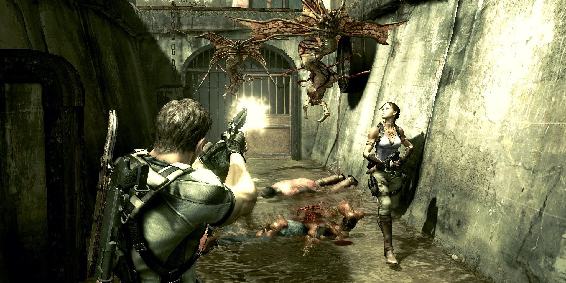 A screenshot showing Chris and Sheeva in Resident Evil 5